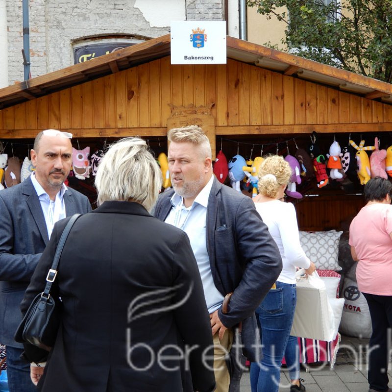 Helyi Értékek Startja 29